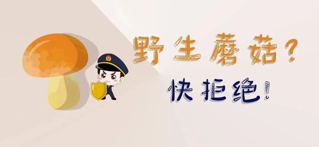 关于“预防野生蘑菇中毒” 致学生和家长朋友的一封信