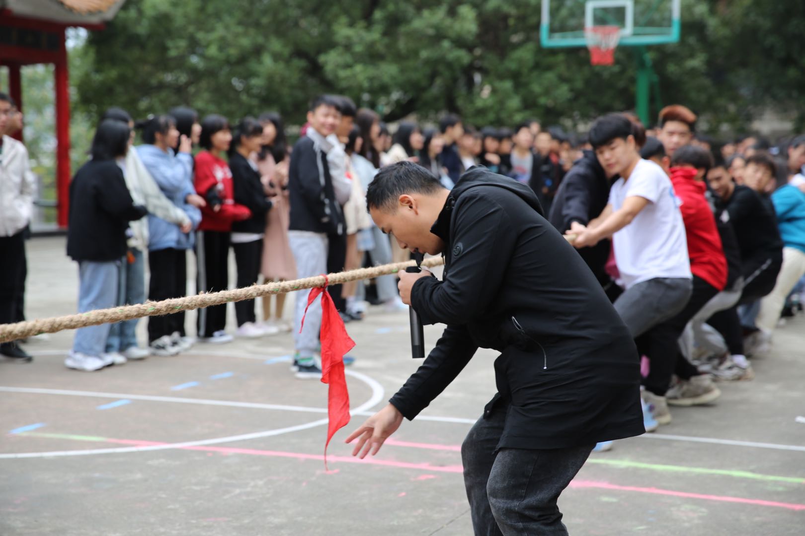 邵阳市华龙中学,邵阳中学教育,高中教育,师资雄厚,名优教师