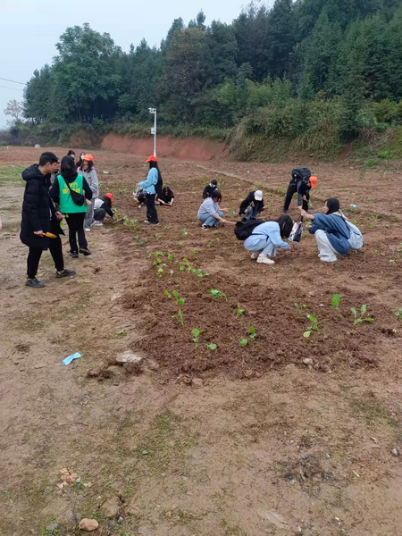 邵阳市华龙中学,邵阳中学教育,高中教育,师资雄厚,名优教师